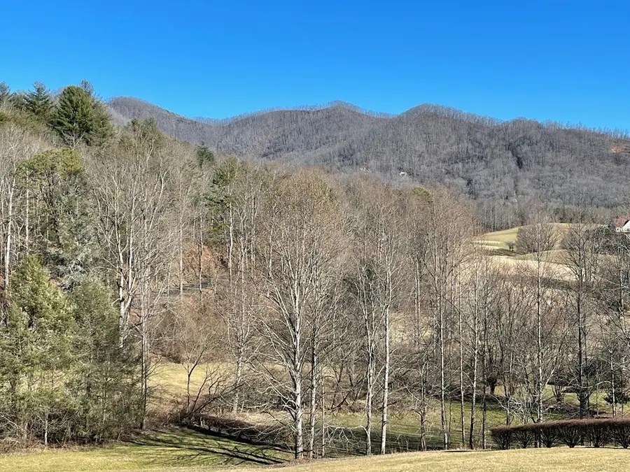 Lot 21C Ash Branch Circle, Hayesville, NC 28904 - Image #3
