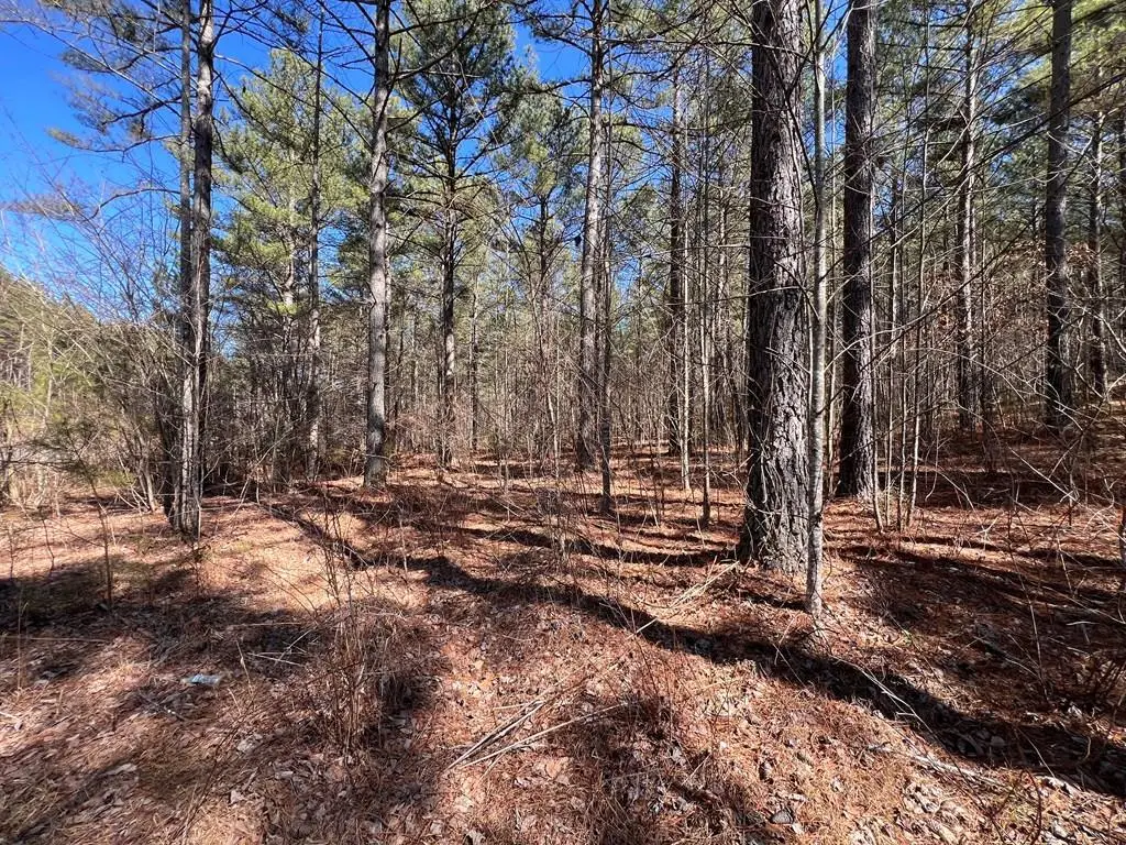 Lot 50 Deyton Drive, Blairsville, GA 30512 - #1