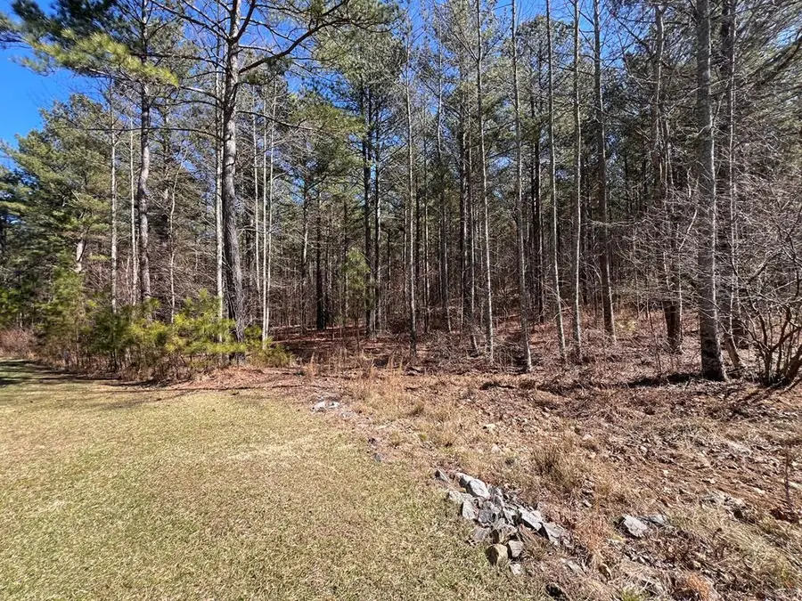 Lot 50 Deyton Drive, Blairsville, GA 30512 - #2