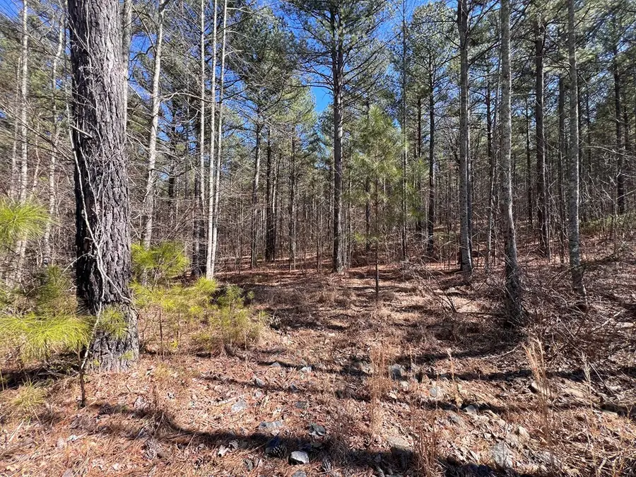 Lot 50 Deyton Drive, Blairsville, GA 30512 - #3