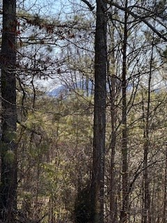 9-11 Sugar Maple Road, Murphy, NC 28906 - Image #3