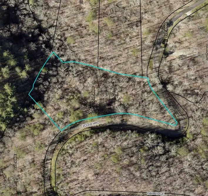 Lot 26 Oak Ridge Way, Ellijay, GA 30536 - Image #3