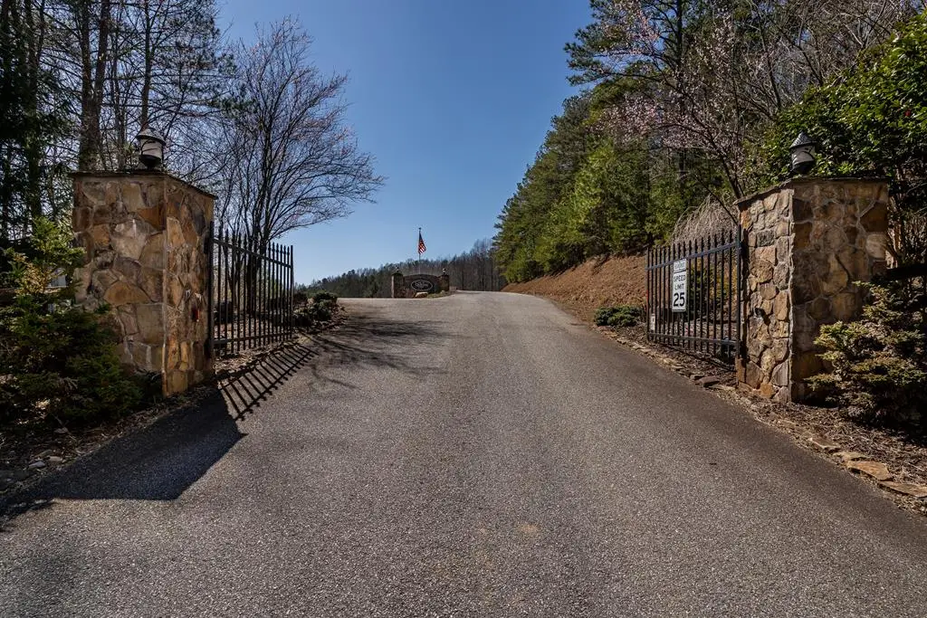 Lot 38 The Hills At Queens Gap, Blairsville, GA 30512 - #1