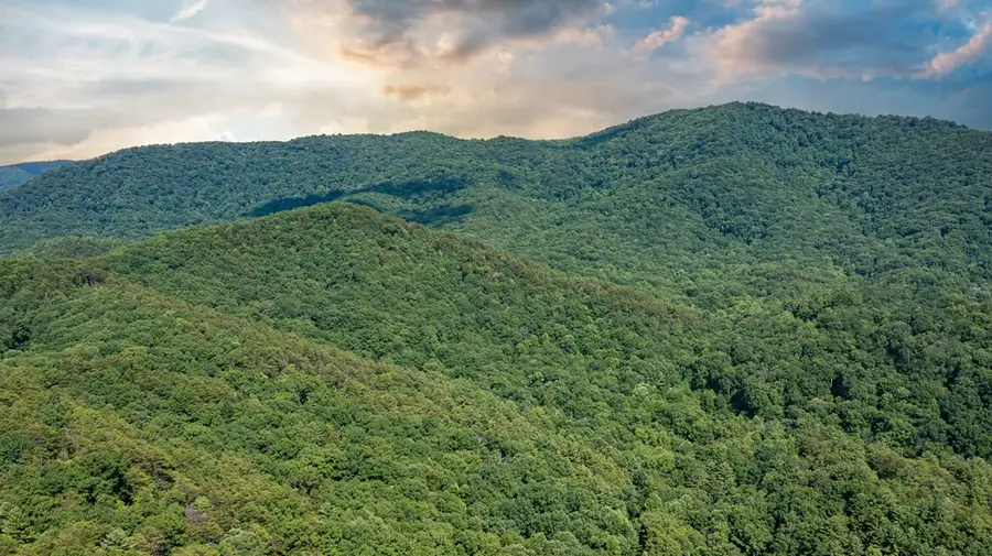 51+ acre Mountain Cove Way, Cherry Log, GA 30522 - Image #3