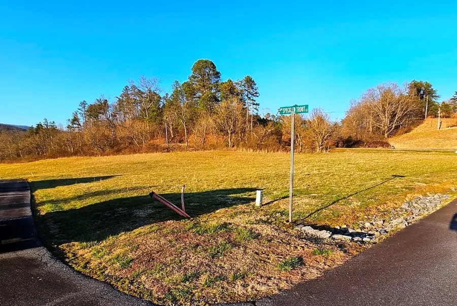 Lot 20 Trophy Trout Inlet, Marble, NC 28905 - Image #2