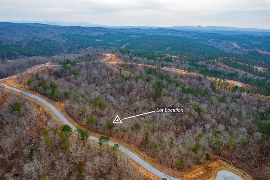 Lot 44 Bucktail Way, Talking Rock, GA 30175 - #3