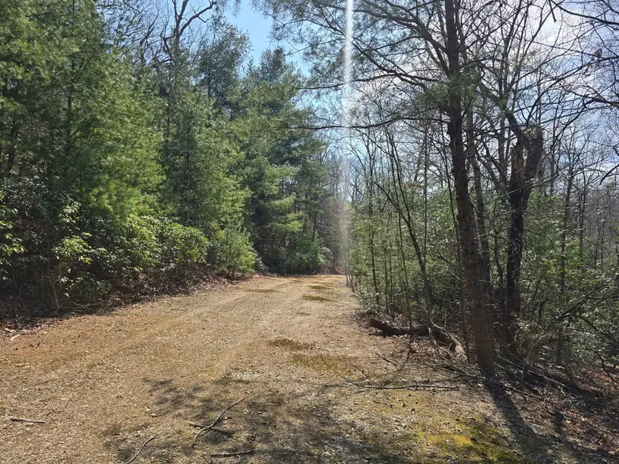 8 & 9 Up The Ridge Road, Blairsville, GA 30512 - #2