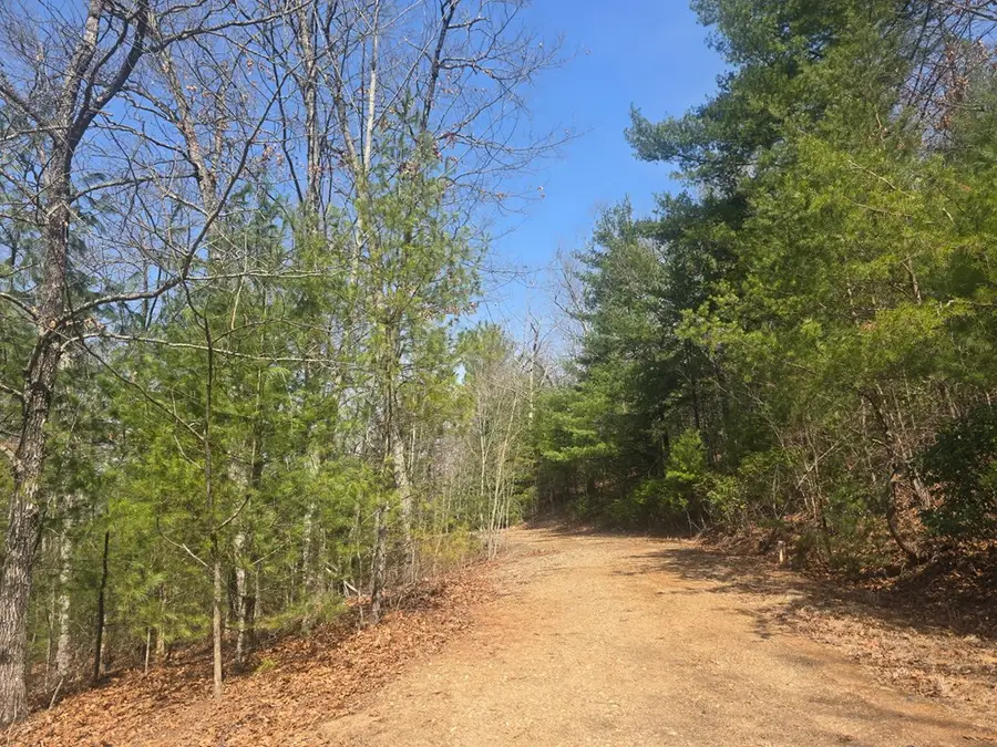 8 & 9 Up The Ridge Road, Blairsville, GA 30512 - #3