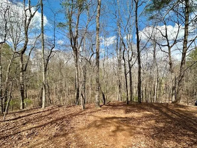 Lot 7 Whitleys Cove, Murphy Township, NC 20906 - Image #1
