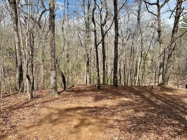 Lot 7 Whitleys Cove, Murphy Township, NC 20906 - Image #3