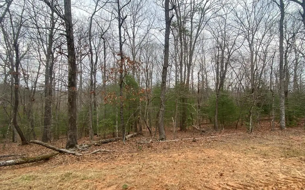 Lot 8 Tomahawk Trail, Blairsville, GA 30512 - Image #1