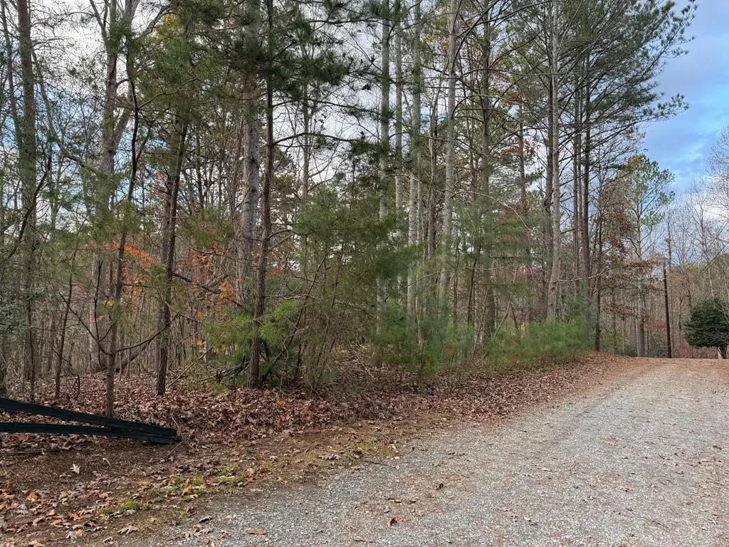 Lot 99 Acella Court, Ellijay, GA 30540 - Image #1