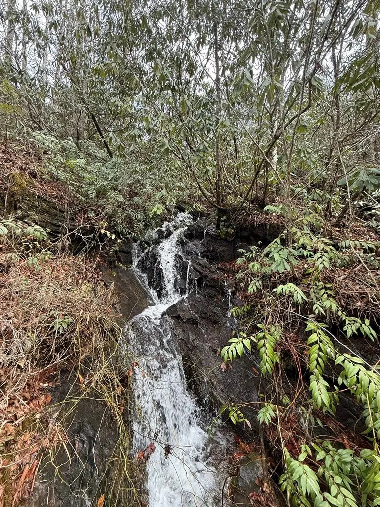 820 Beaver Creek, Andrews, NC 28901 - Image #2