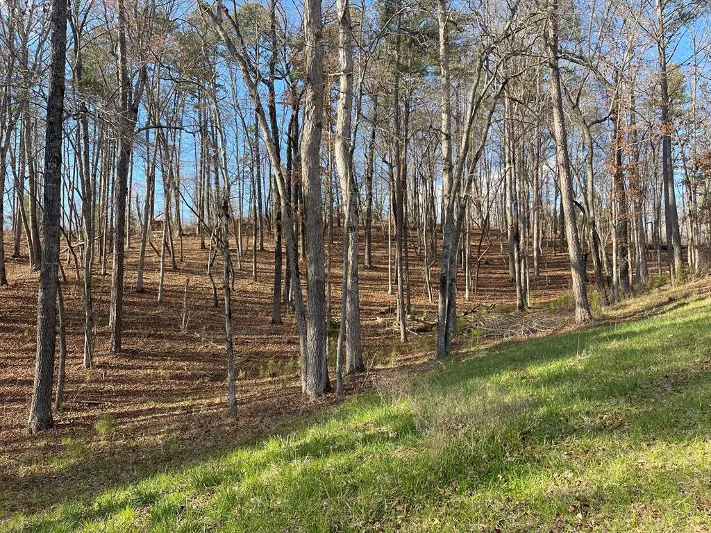 Lot# 208 Pinnacle Drive, Ellijay, GA 30540 - #1