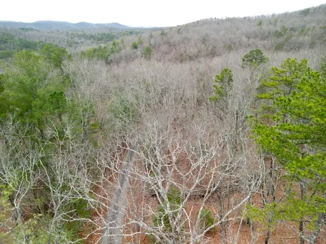 00 Bruce Mountain Road, Morganton, GA 30560 - Image #2