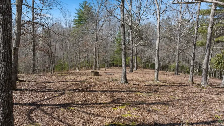 1262 Maple Grove Road, Morganton, GA 30560 - Image #3