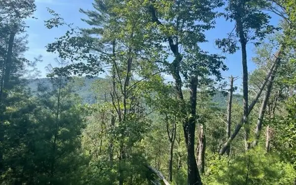 LT 43 Ridge View Way, Suches, GA 30572