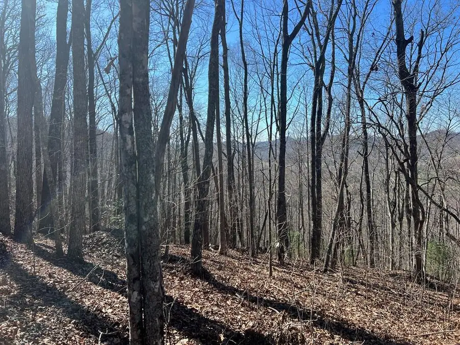 Lots 7&8 Wikle Road, Hayesville, NC 28904 - Image #2