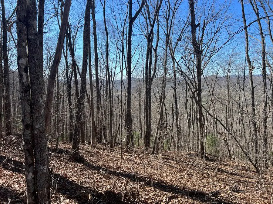 Lots 7&8 Wikle Road, Hayesville, NC 28904 - Image #3