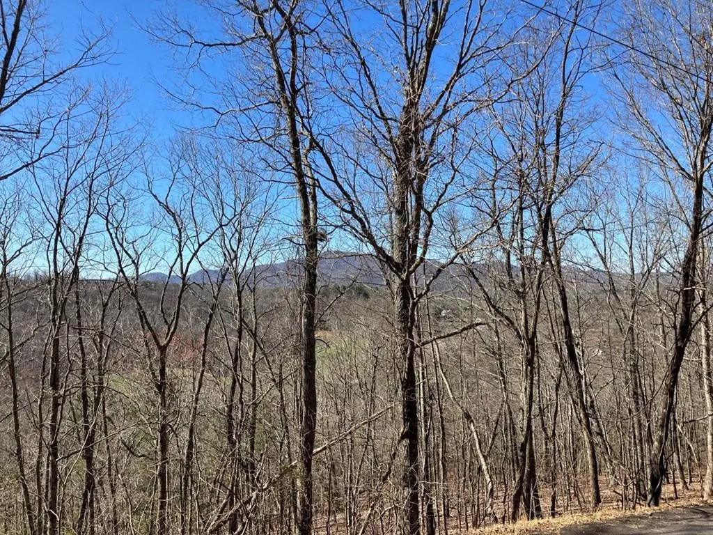 Lot 4 Mirandi Drive, Warne, NC 28909 - Image #1