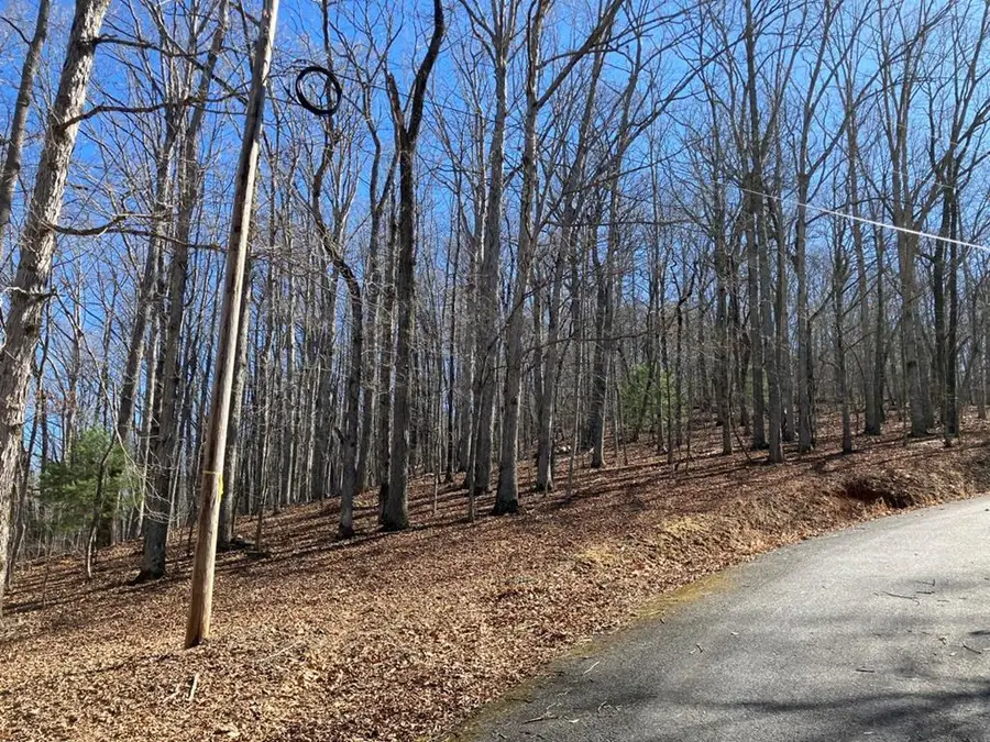 Lot 4 Mirandi Drive, Warne, NC 28909 - Image #2