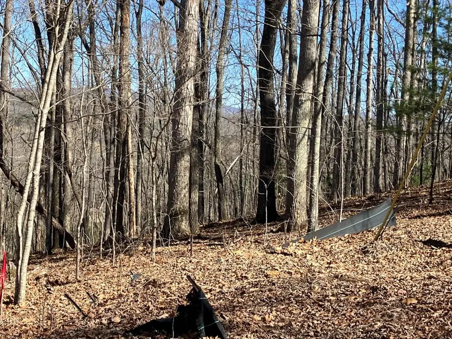 Lot 4 Mirandi Drive, Warne, NC 28909 - Image #3