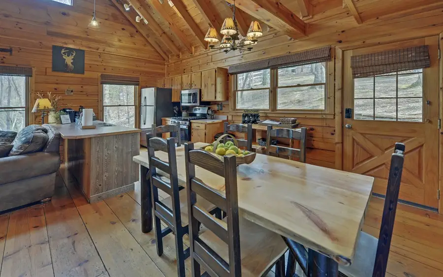 184 Smith Hill Road, Cherry Log, GA 30522 - Image #3