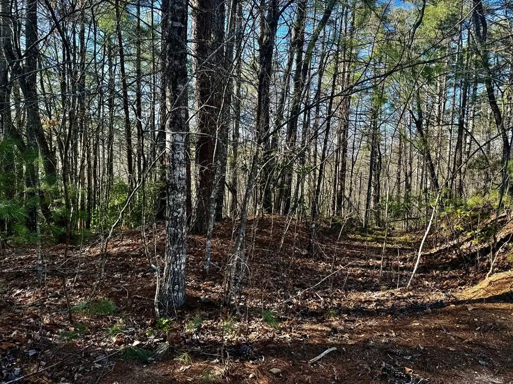 0 Shuler Mountain Road, Murphy, NC 28906 - Image #1