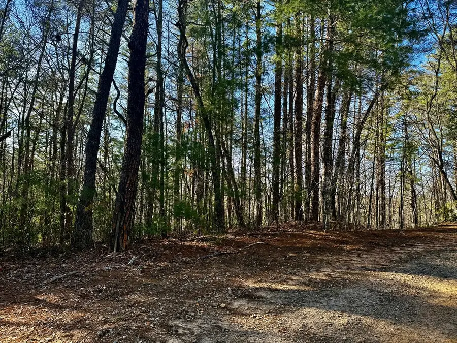 0 Shuler Mountain Road, Murphy, NC 28906 - Image #2