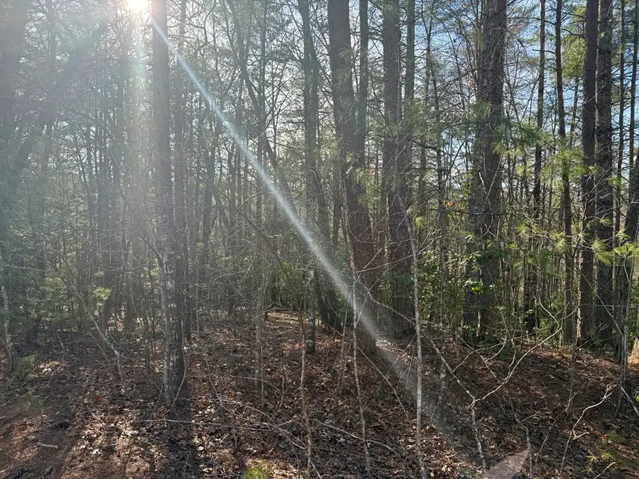 0 Shuler Mountain Road, Murphy, NC 28906 - Image #3