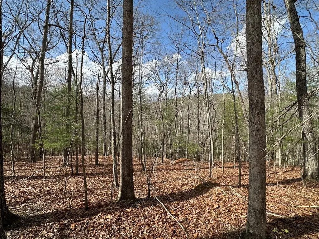 Lot 19 Black Oak Road, Blue Ridge, GA 20513 - Image #1