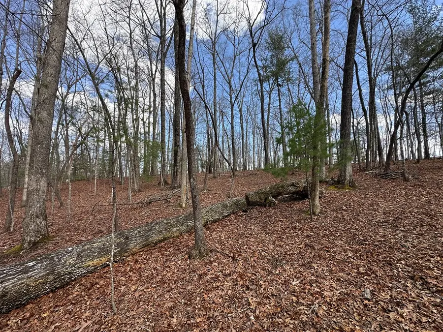 Lot 19 Black Oak Road, Blue Ridge, GA 20513 - Image #3