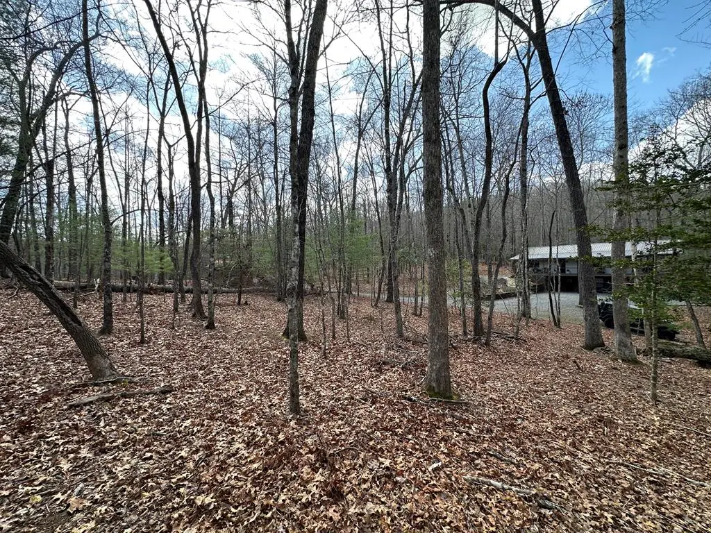 Lot 20 Black Oak Road, Cherry Log, GA 30522 - Image #1