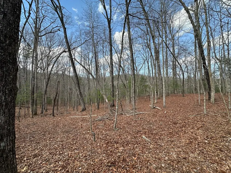 Lot 20 Black Oak Road, Cherry Log, GA 30522 - Image #3