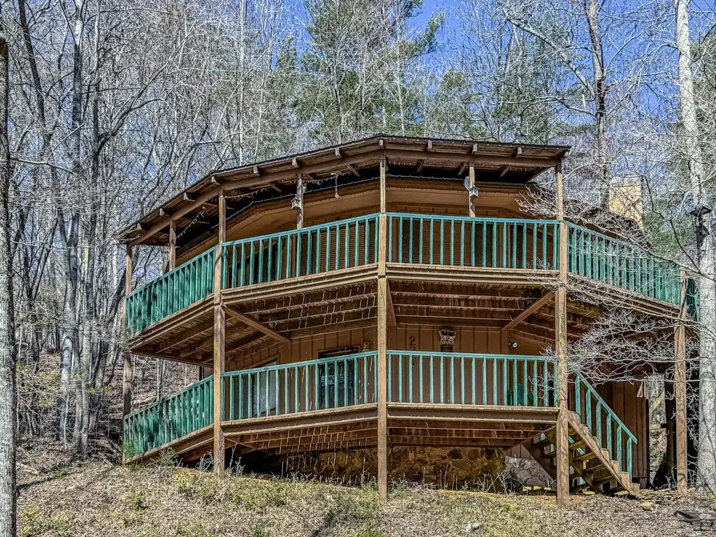 230 Tanglewood Drive, Blue Ridge, GA 30513 - #1