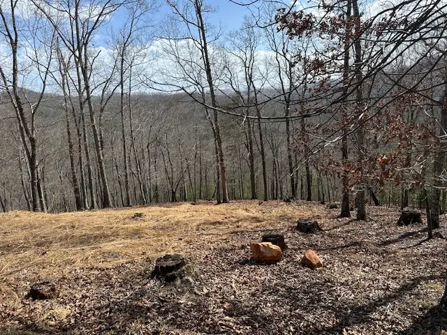 8 Thunder Road, Hayesville, NC 28904 - Image #2