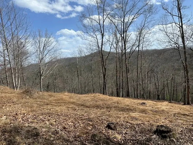 8 Thunder Road, Hayesville, NC 28904 - Image #3