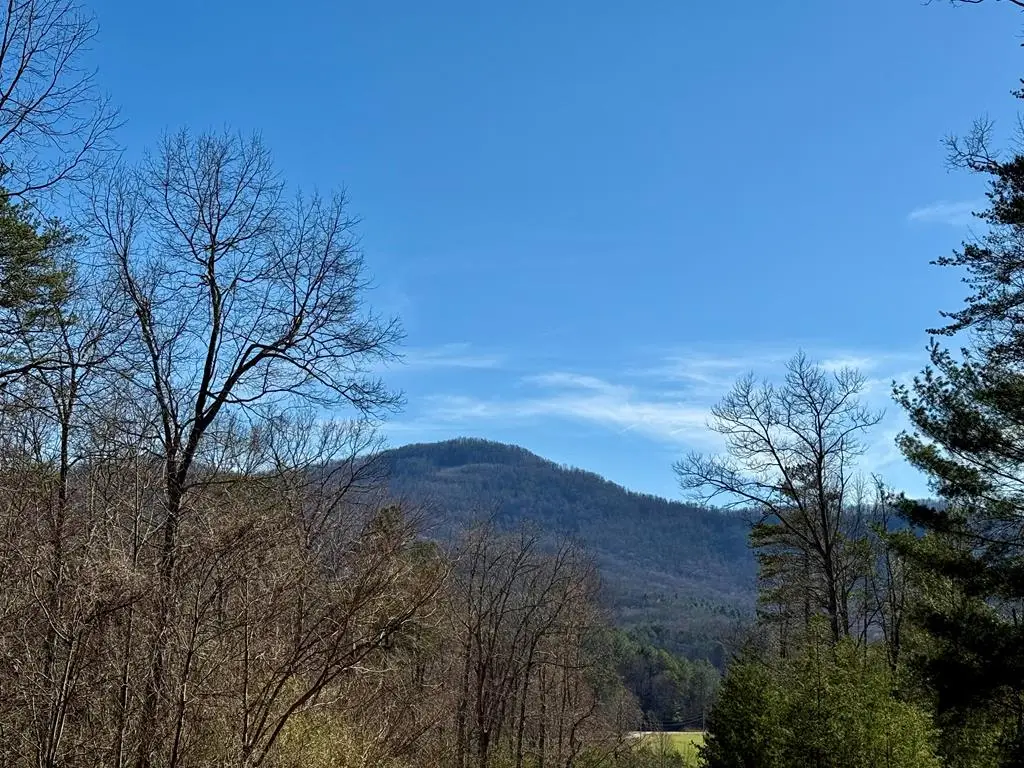 0 Chimney Top Trail, Murphy, NC 28906 - Image #1