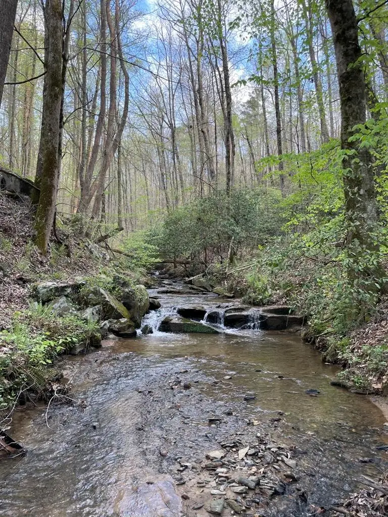 0000 Shady Grove Road, Talking Rock, GA 30175 - Image #1