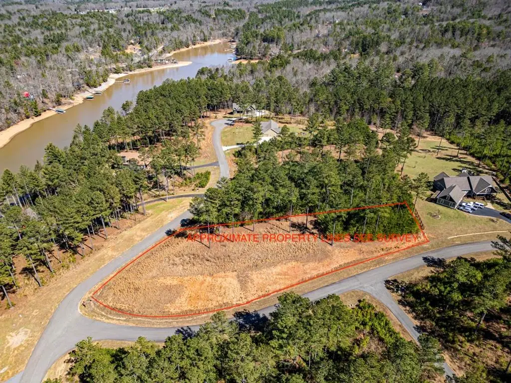 0 Loop Lane, Blairsville, GA 30512 - #1