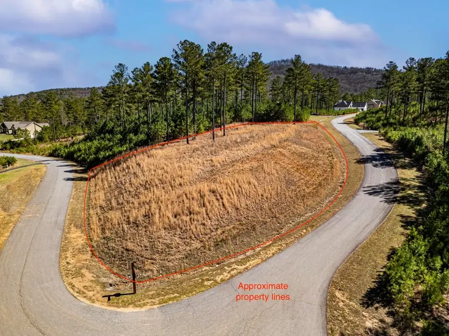 0 Loop Lane, Blairsville, GA 30512 - #2