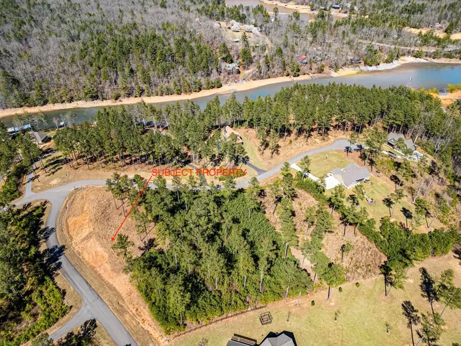 0 Loop Lane, Blairsville, GA 30512 - #3