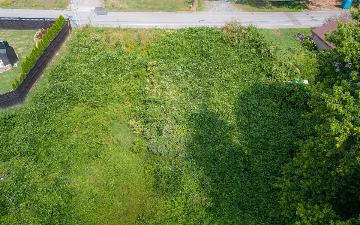 .38AC E Second Street, Blue Ridge, GA 30513 - #1