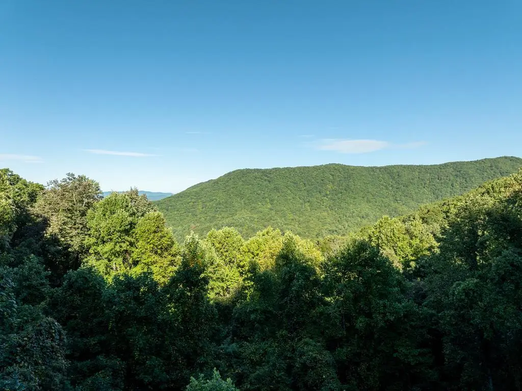 Lot 9 Moss Creek Trail, Ellijay, GA 30536 - #1