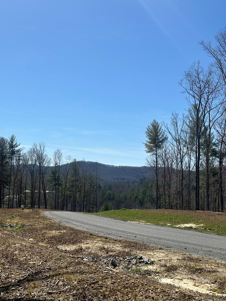 Lot 188 The Ridges, Morganton, GA 30560 - Image #1