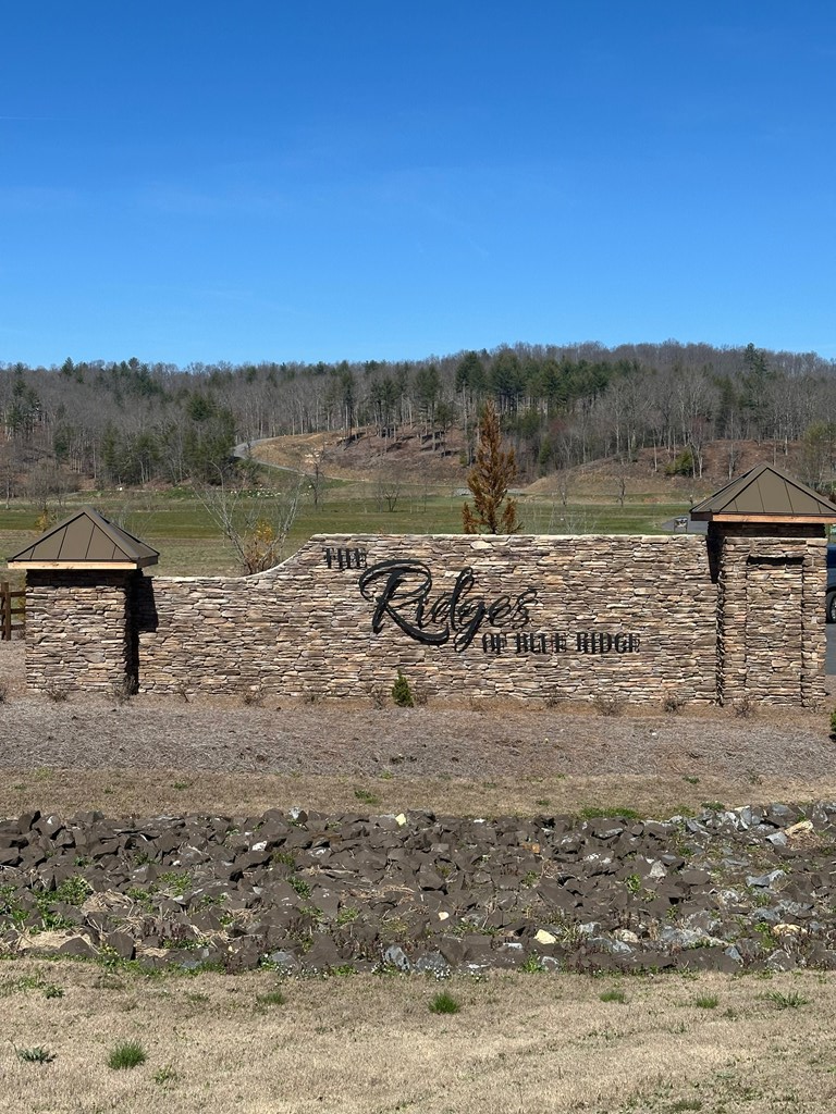 Lot 188 The Ridges, Morganton, GA 30560 - Image #2