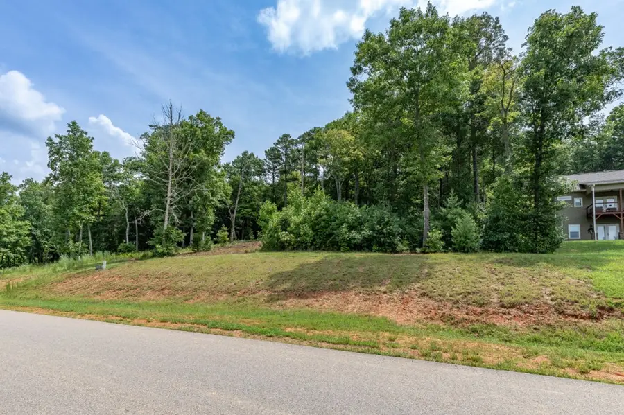 Lot 35 Hidden Harbor, Blairsville, GA 30512 - #3