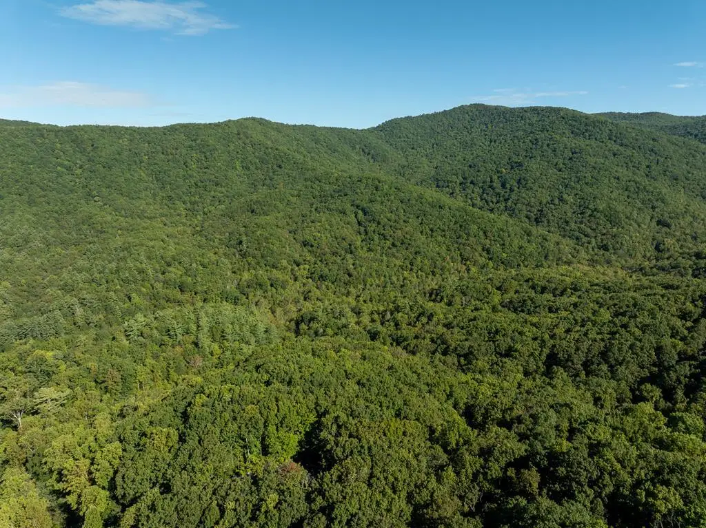 Lot 18 Wilderness Way, Ellijay, GA 30536 - #1