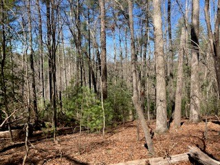 Lt 1032 Eagle Court, Ellijay, GA 30540 - Image #2