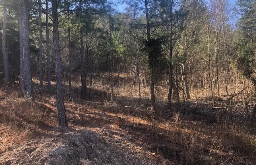 lot 38 Loftis Mountain, Blairsville, GA 30512 - Image #2